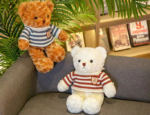 Cute Teddy Bear(30cm)